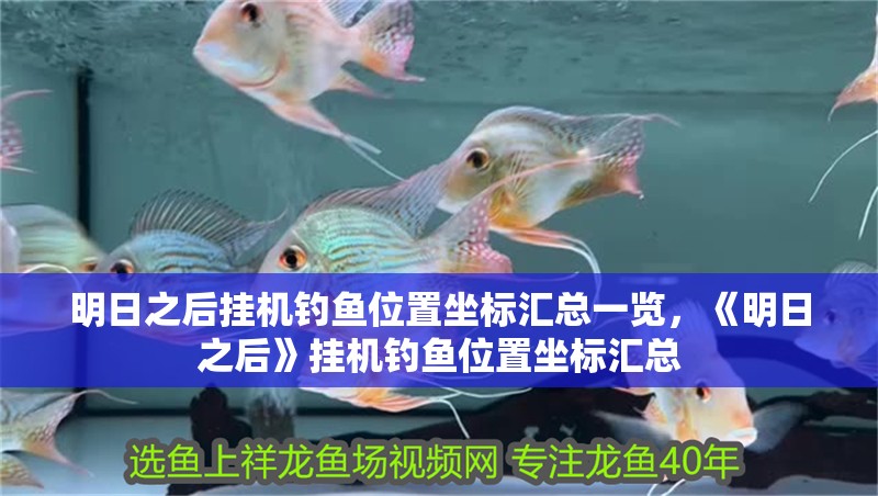 明日之后掛機釣魚位置坐標匯總一覽，《明日之后》掛機釣魚位置坐標匯總