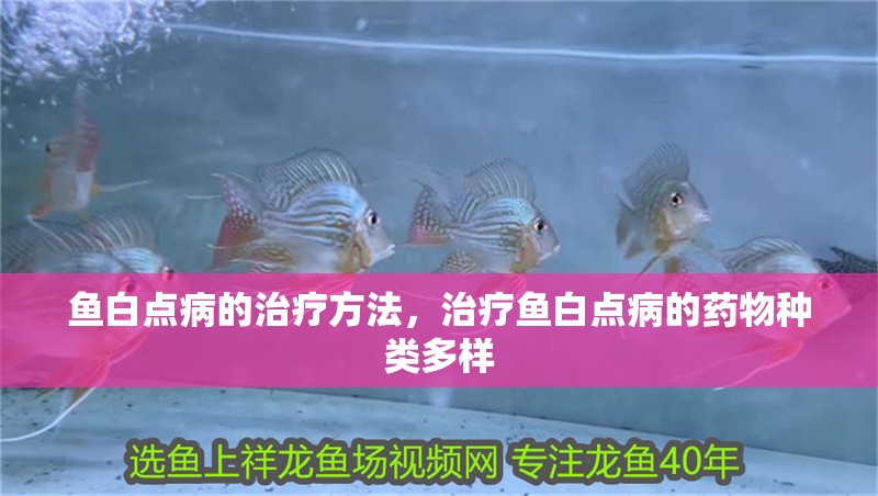 魚白點病的治療方法，治療魚白點病的藥物種類多樣