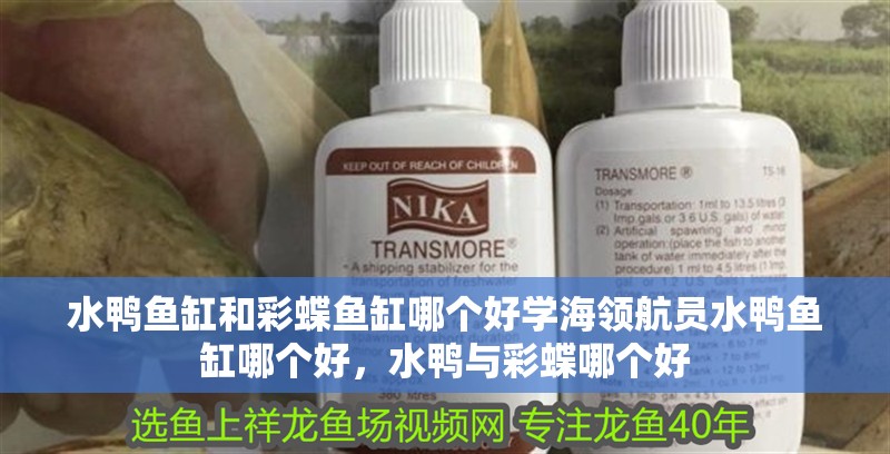 水鴨魚缸和彩蝶魚缸哪個好學海領航員水鴨魚缸哪個好，水鴨與彩蝶哪個好