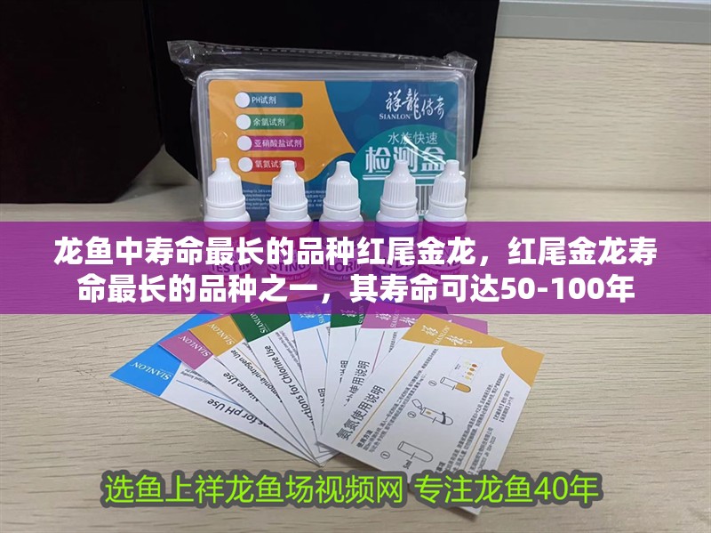 龍魚中壽命最長的品種紅尾金龍，紅尾金龍壽命最長的品種之一，其壽命可達50-100年