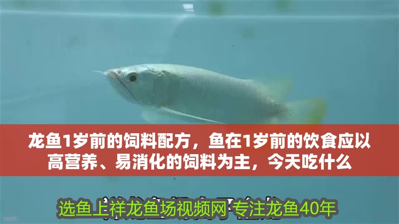 龍魚1歲前的飼料配方，魚在1歲前的飲食應以高營養、易消化的飼料為主，今天吃什么