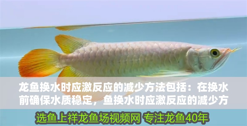 龍魚(yú)換水時(shí)應(yīng)激反應(yīng)的減少方法包括：在換水前確保水質(zhì)穩(wěn)定，魚(yú)換水時(shí)應(yīng)激反應(yīng)的減少方法
