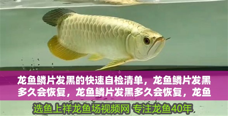 龍魚鱗片發黑的快速自檢清單，龍魚鱗片發黑多久會恢復，龍魚鱗片發黑多久會恢復，龍魚鱗片發黑多久會恢復嗎