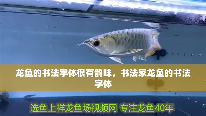 龍魚的書法字體很有韻味，書法家龍魚的書法字體