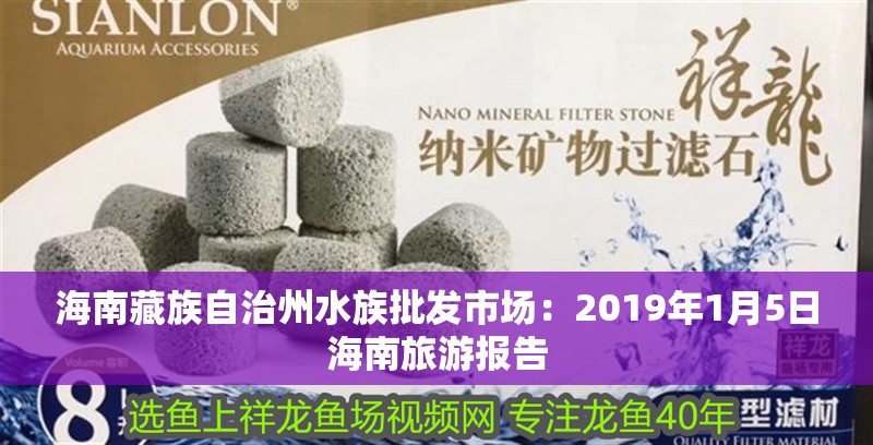 海南藏族自治州水族批發市場：2019年1月5日海南旅游報告