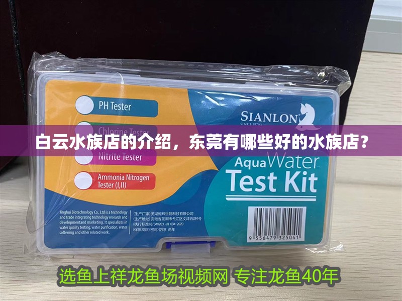 白云水族店的介紹，東莞有哪些好的水族店？