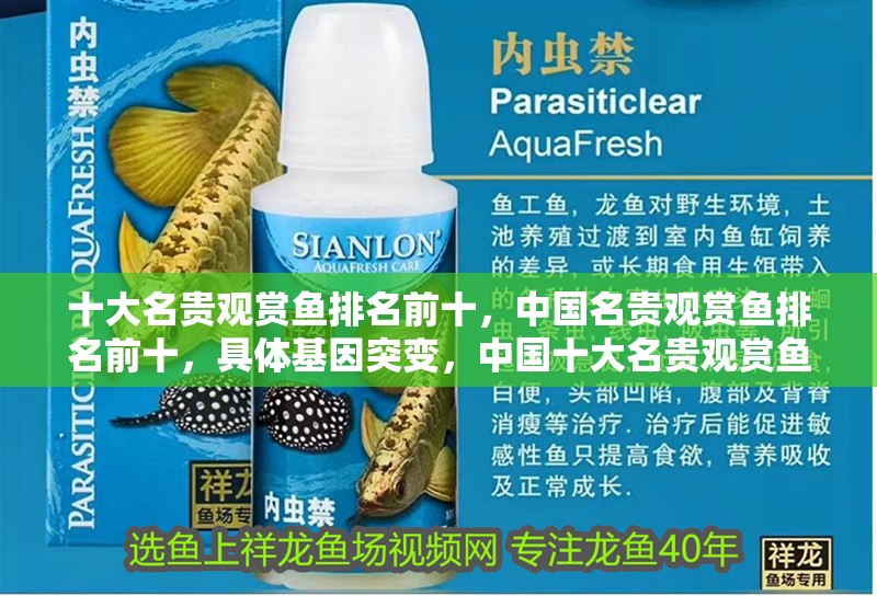 十大名貴觀賞魚(yú)排名前十，中國(guó)名貴觀賞魚(yú)排名前十，具體基因突變，中國(guó)十大名貴觀賞魚(yú)排名前十，中國(guó)名貴觀賞魚(yú)排名前十