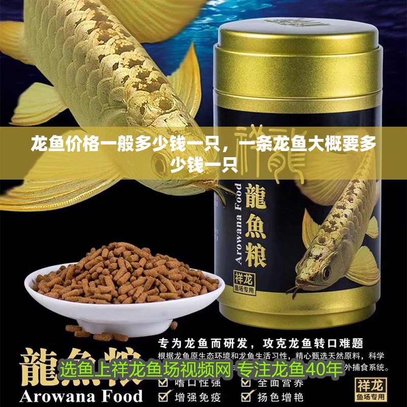 龍魚價格一般多少錢一只，一條龍魚大概要多少錢一只