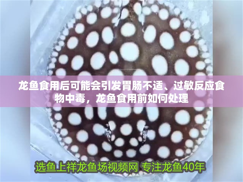 龍魚食用后可能會引發胃腸不適、過敏反應食物中毒，龍魚食用前如何處理