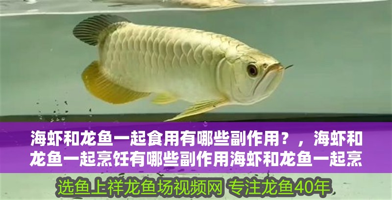 海蝦和龍魚一起食用有哪些副作用？，海蝦和龍魚一起烹飪有哪些副作用海蝦和龍魚一起烹飪有哪些副作用