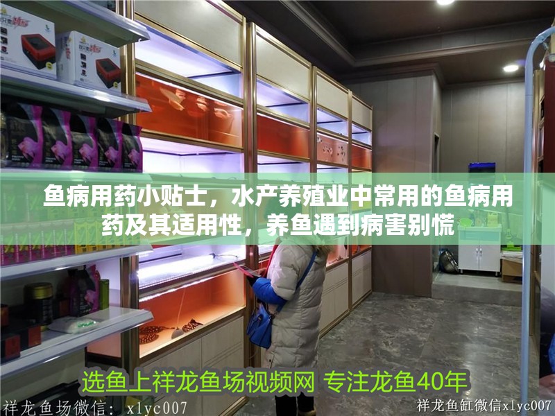 魚病用藥小貼士，水產養殖業中常用的魚病用藥及其適用性，養魚遇到病害別慌