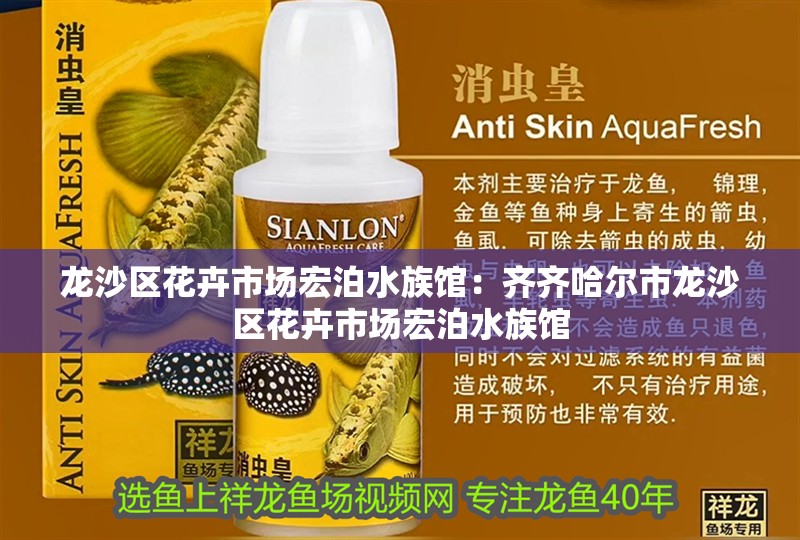龍沙區花卉市場宏泊水族館：齊齊哈爾市龍沙區花卉市場宏泊水族館