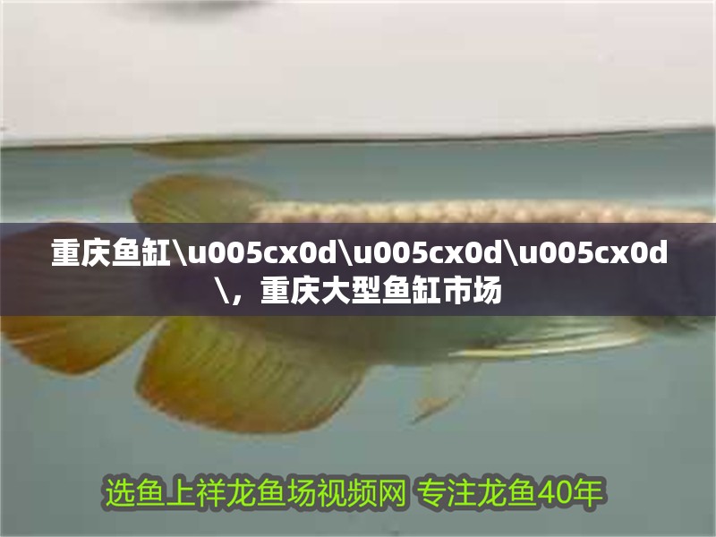 重慶魚缸\u005cx0d\u005cx0d\u005cx0d\，重慶大型魚缸市場