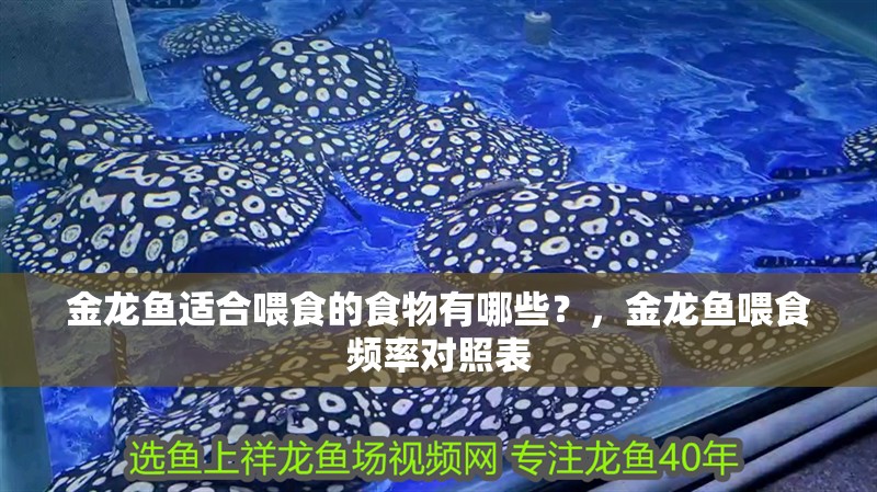 金龍魚適合喂食的食物有哪些？，金龍魚喂食頻率對照表
