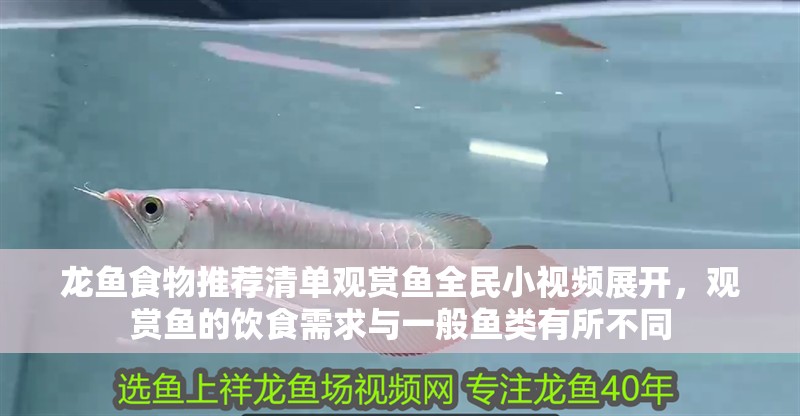 龍魚食物推薦清單觀賞魚全民小視頻展開，觀賞魚的飲食需求與一般魚類有所不同