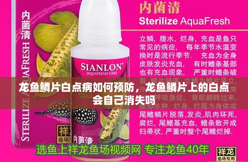 龍魚鱗片白點病如何預防，龍魚鱗片上的白點會自己消失嗎