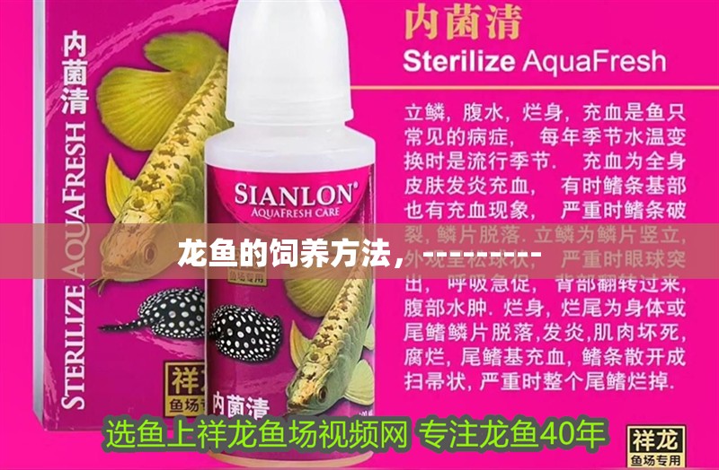 龍魚的飼養(yǎng)方法，---------