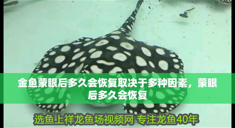 金魚蒙眼后多久會恢復取決于多種因素，蒙眼后多久會恢復