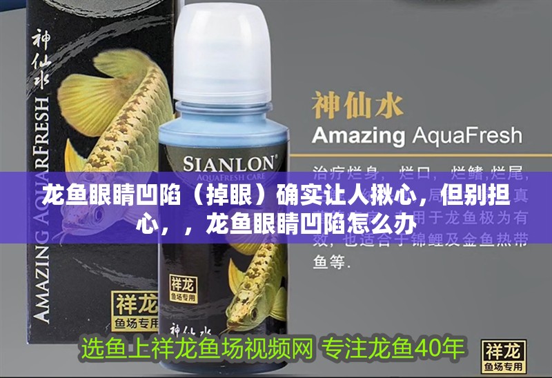 龍魚眼睛凹陷（掉眼）確實讓人揪心，但別擔心，，龍魚眼睛凹陷怎么辦