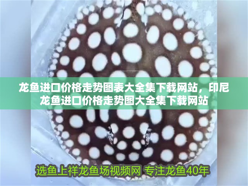 龍魚進口價格走勢圖表大全集下載網站，印尼龍魚進口價格走勢圖大全集下載網站