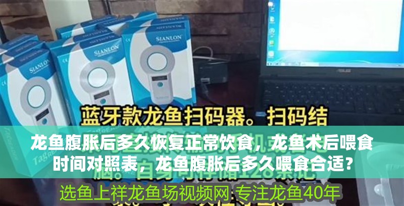 龍魚腹脹后多久恢復正常飲食，龍魚術后喂食時間對照表，龍魚腹脹后多久喂食合適？