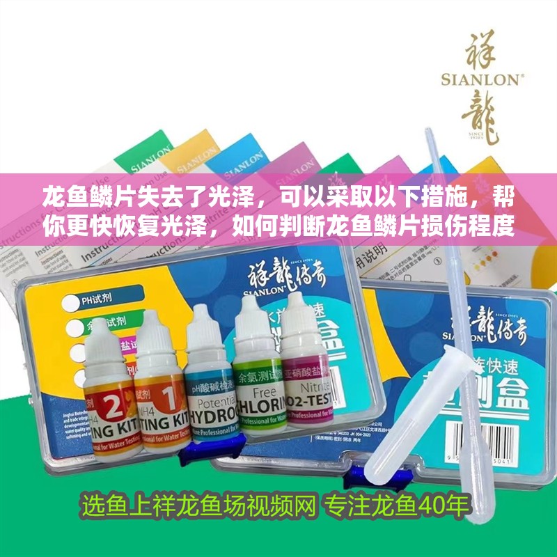 龍魚鱗片失去了光澤，可以采取以下措施，幫你更快恢復(fù)光澤，如何判斷龍魚鱗片損傷程度？