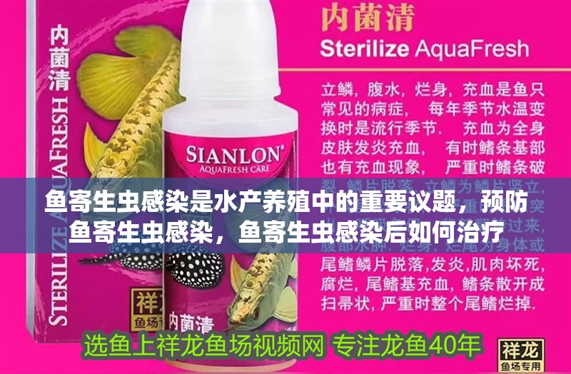 魚寄生蟲感染是水產養殖中的重要議題，預防魚寄生蟲感染，魚寄生蟲感染后如何治療