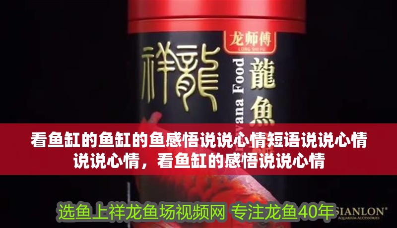 看魚缸的魚缸的魚感悟說說心情短語說說心情說說心情，看魚缸的感悟說說心情