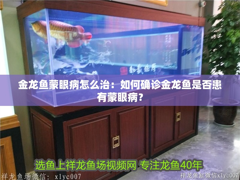 金龍魚蒙眼病怎么治：如何確診金龍魚是否患有蒙眼病？