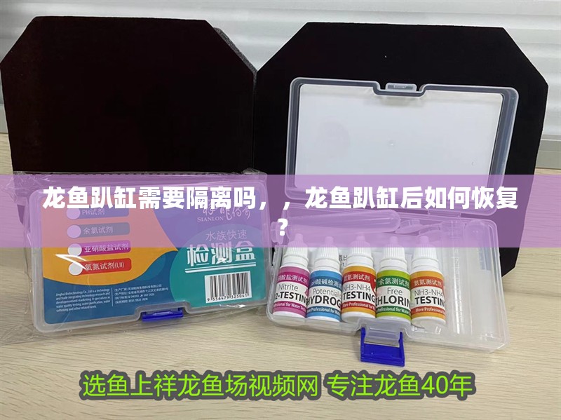龍魚趴缸需要隔離嗎，，龍魚趴缸后如何恢復(fù)？