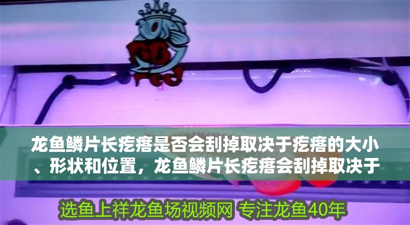 龍魚鱗片長疙瘩是否會刮掉取決于疙瘩的大小、形狀和位置，龍魚鱗片長疙瘩會刮掉取決于疙瘩的大小、形狀和位置