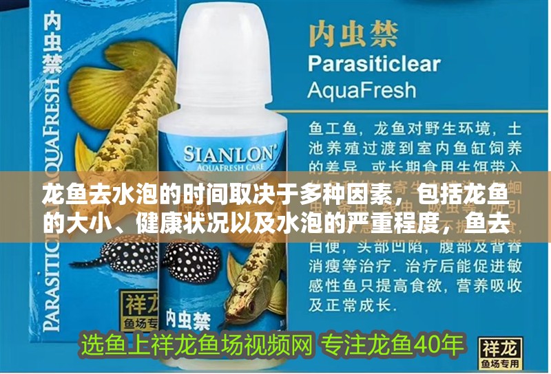 龍魚去水泡的時間取決于多種因素，包括龍魚的大小、健康狀況以及水泡的嚴重程度，魚去水泡的時間取決于多種因素，包括龍魚的大小、健康狀況以及水泡的嚴重程度