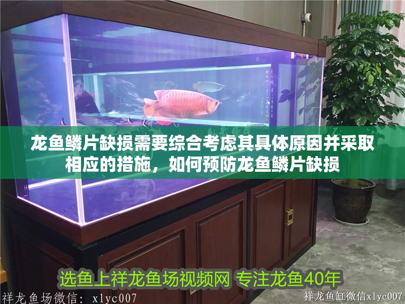 龍魚鱗片缺損需要綜合考慮其具體原因并采取相應(yīng)的措施，如何預(yù)防龍魚鱗片缺損