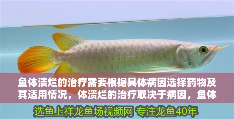 魚體潰爛的治療需要根據(jù)具體病因選擇藥物及其適用情況，體潰爛的治療取決于病因，魚體潰爛的治療取決于病因