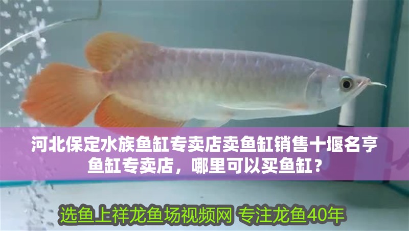 河北保定水族魚缸專賣店賣魚缸銷售<strong><mark>十堰</mark></strong>名亨魚缸專賣店，哪里可以買魚缸？