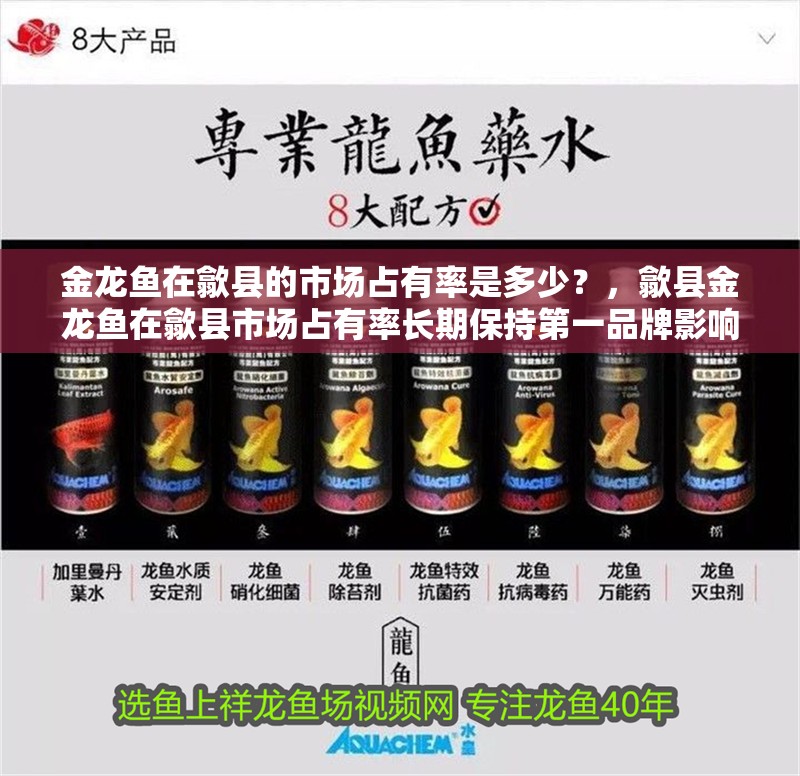 金龍魚在歙縣的市場占有率是多少？，歙縣金龍魚在歙縣市場占有率長期保持第一品牌影響力