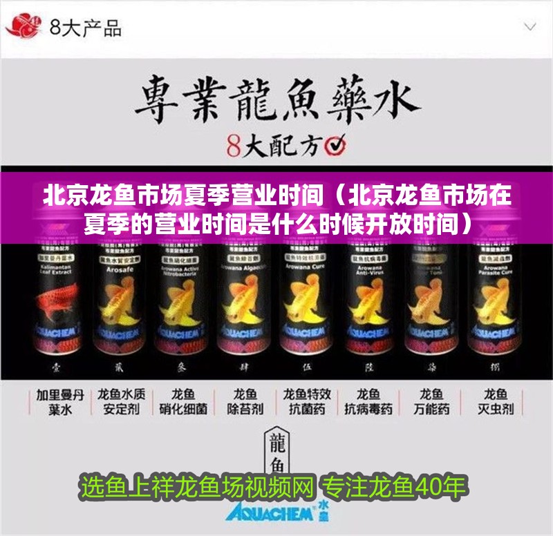 北京龍魚市場夏季營業(yè)時(shí)間（北京龍魚市場在夏季的營業(yè)時(shí)間是什么時(shí)候開放時(shí)間）