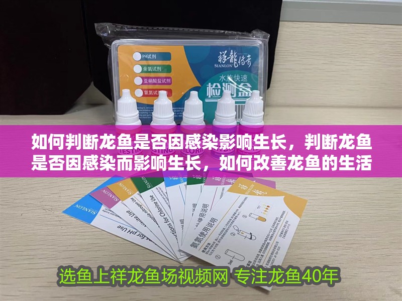 如何判斷龍魚是否因感染影響生長，判斷龍魚是否因感染而影響生長，如何改善龍魚的生活環境