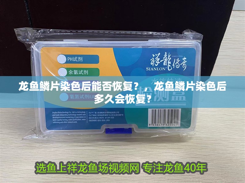 龍魚鱗片染色后能否恢復？，龍魚鱗片染色后多久會恢復？