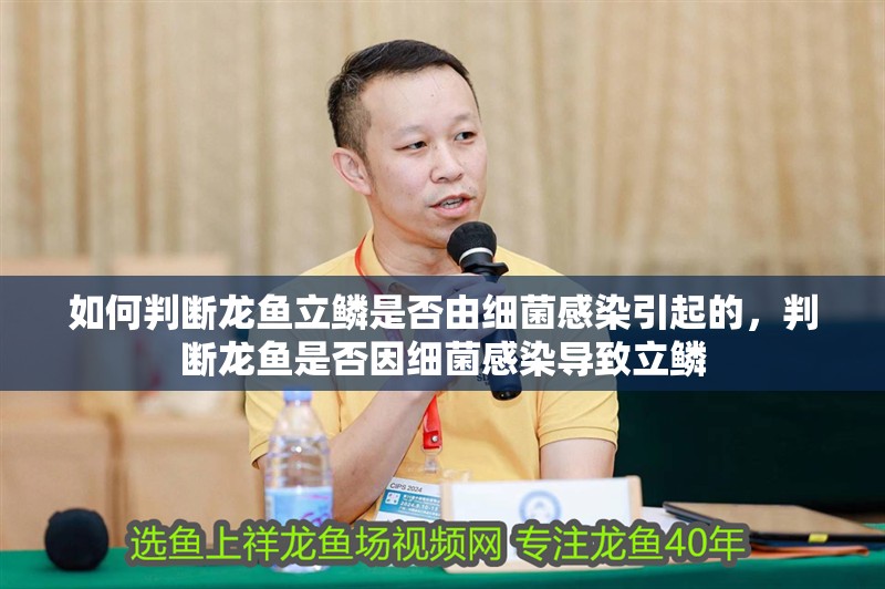 如何判斷龍魚立鱗是否由細菌感染引起的，判斷龍魚是否因細菌感染導致立鱗