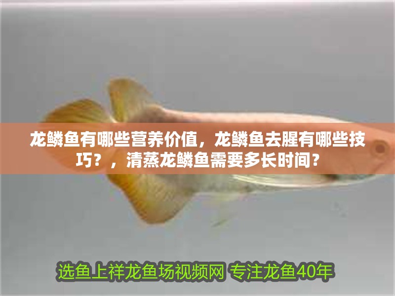 龍鱗魚有哪些營養價值，龍鱗魚去腥有哪些技巧？，清蒸龍鱗魚需要多長時間？