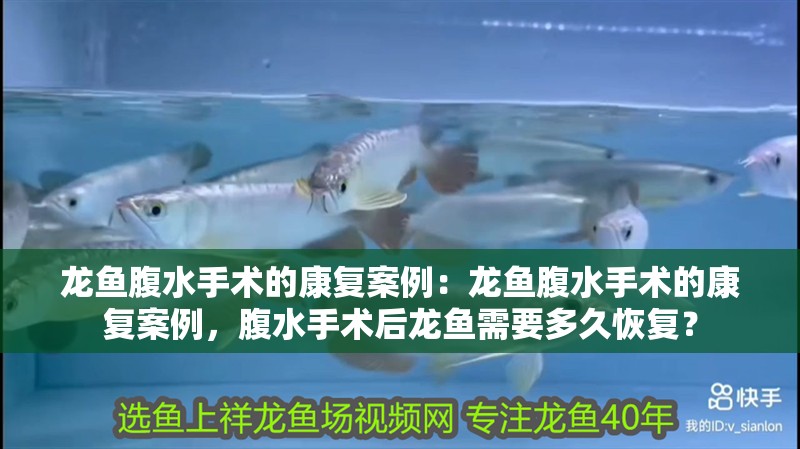 龍魚腹水手術(shù)的康復(fù)案例：龍魚腹水手術(shù)的康復(fù)案例，腹水手術(shù)后龍魚需要多久恢復(fù)？