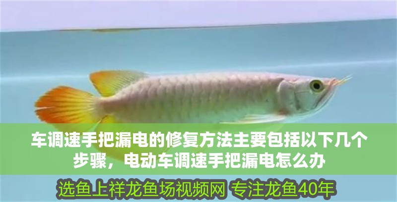 車(chē)調(diào)速手把漏電的修復(fù)方法主要包括以下幾個(gè)步驟，電動(dòng)車(chē)調(diào)速手把漏電怎么辦