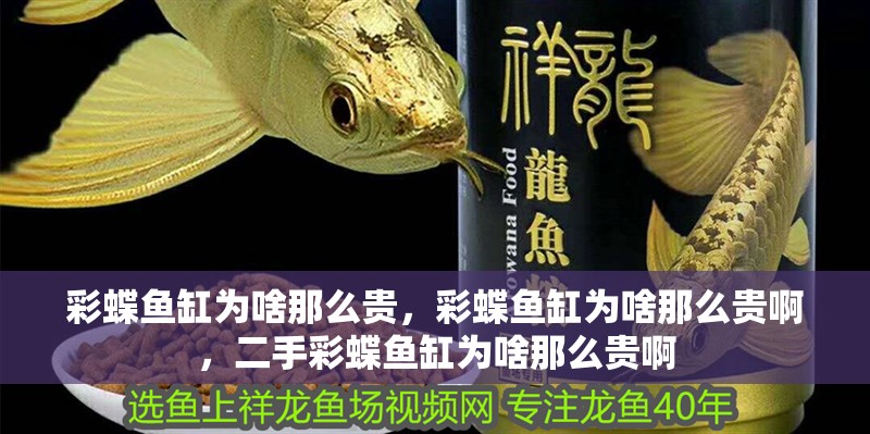 彩蝶魚缸為啥那么貴，彩蝶魚缸為啥那么貴啊，二手彩蝶魚缸為啥那么貴啊
