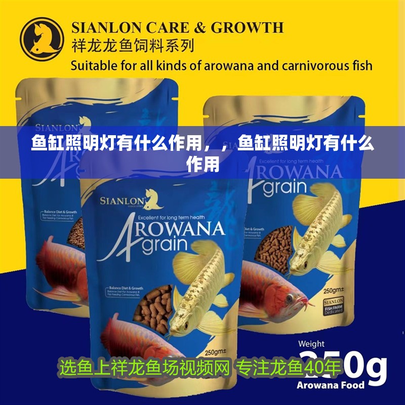 魚缸照明燈有什么作用，，魚缸照明燈有什么作用