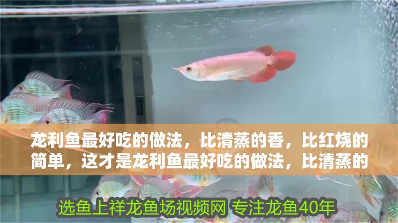 龍利魚最好吃的做法，比清蒸的香，比紅燒的簡單，這才是龍利魚最好吃的做法，比清蒸的香，比紅燒的簡單