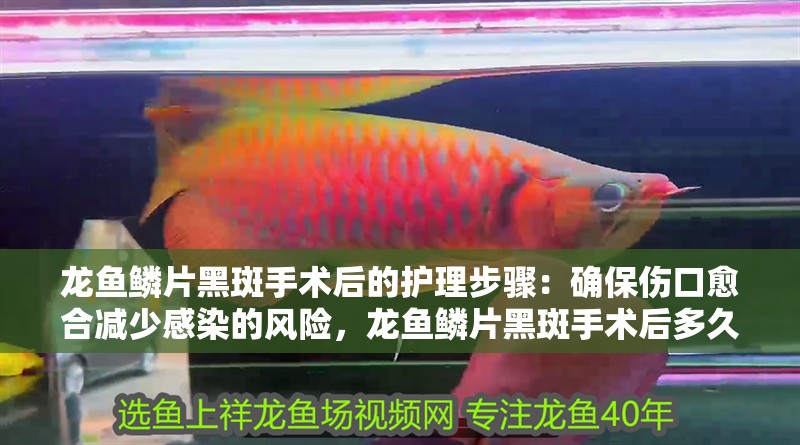 龍魚鱗片黑斑手術(shù)后的護理步驟：確保傷口愈合減少感染的風險，龍魚鱗片黑斑手術(shù)后多久能恢復(fù)？