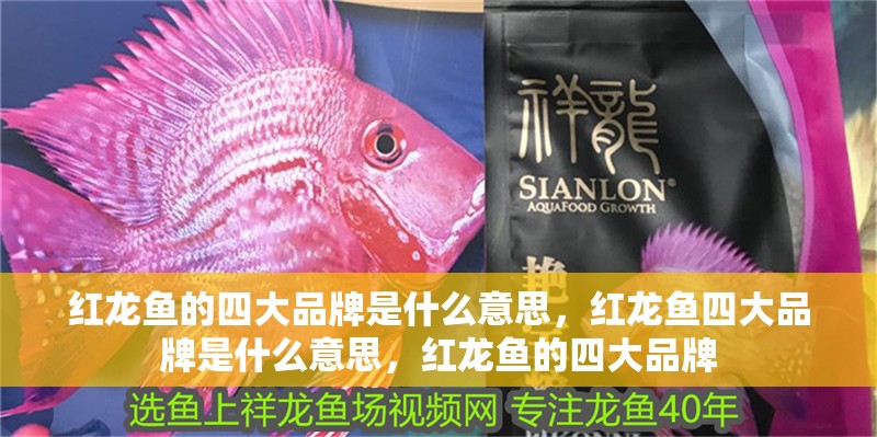 紅龍魚的四大品牌是什么意思，紅龍魚四大品牌是什么意思，紅龍魚的四大品牌