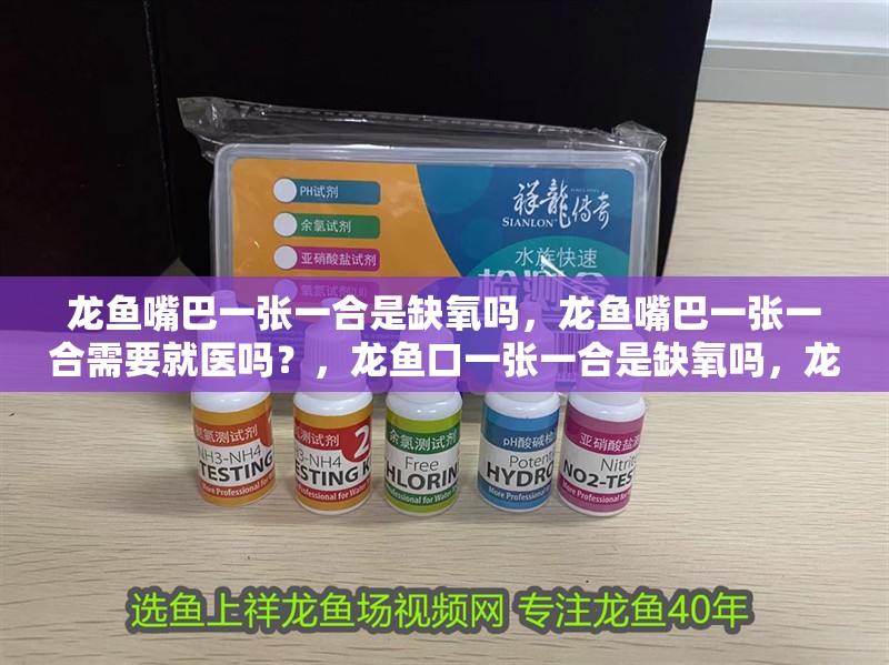 龍魚嘴巴一張一合是缺氧嗎，龍魚嘴巴一張一合需要就醫嗎？，龍魚口一張一合是缺氧嗎，龍魚嘴巴一張一合是缺氧嗎
