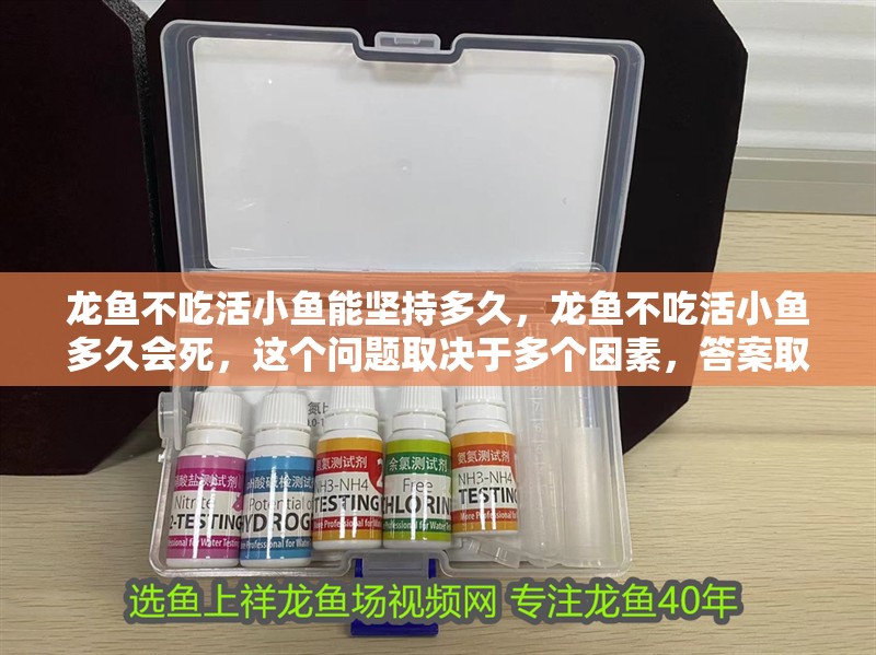 龍魚不吃活小魚能堅持多久，龍魚不吃活小魚多久會死，這個問題取決于多個因素，答案取決于多個因素